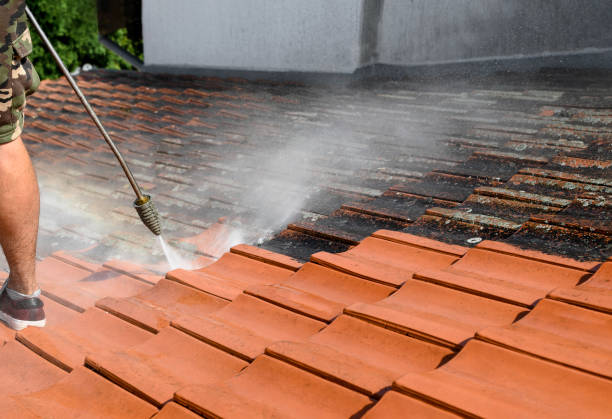 Best Affordable Pressure Washing  in Immokalee, FL