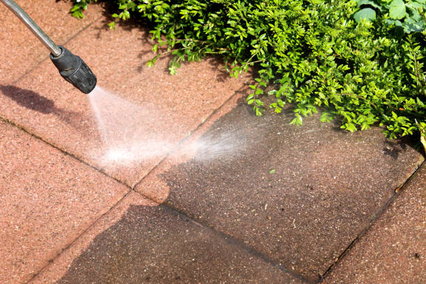 Best Commercial Pressure Washing  in Immokalee, FL